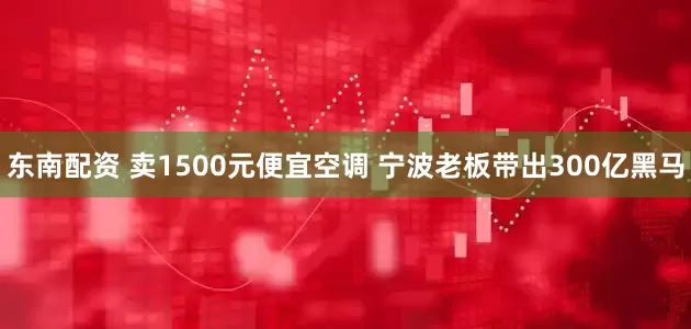 东南配资 卖1500元便宜空调 宁波老板带出300亿黑马