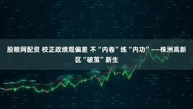 股粮网配资 校正政绩观偏差 不“内卷”练“内功”——株洲高新区“破茧”新生